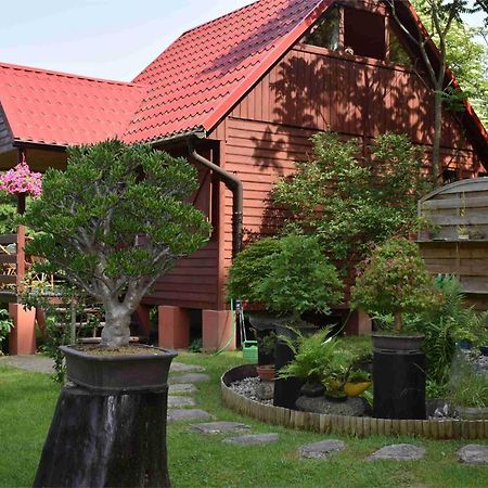 Ogrod Shinrin Yoku Odpoczynek W Lesie Villa Srokowo Kültér fotó