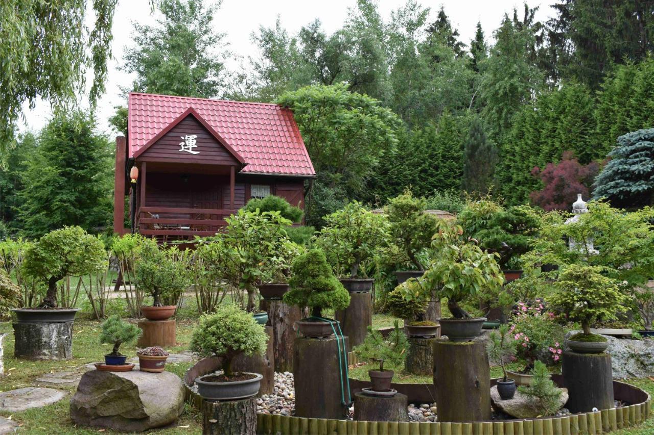 Ogrod Shinrin Yoku Odpoczynek W Lesie Villa Srokowo Kültér fotó